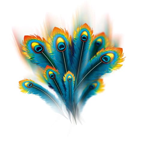 Feather Peafowl Computer file - Wispy peacock feathers png download png image