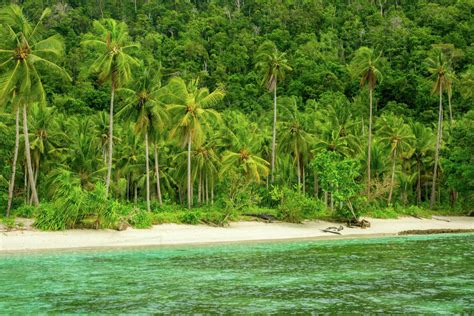 Indonesia A Wild Beach On A Tropical Island Covered With Jungle White