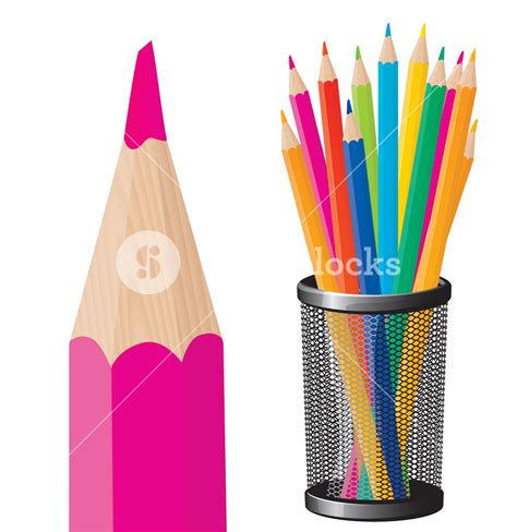 Pencils Vector Royalty Free Stock Image Storyblocks