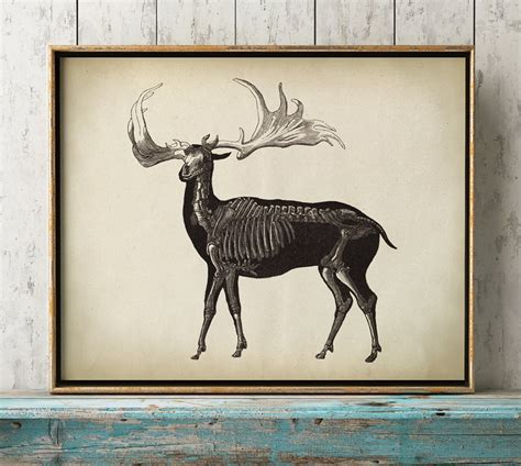 Primitive Deer Skeleton Print Deer Antlers Poster Animal Etsy