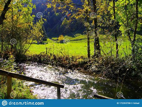 Idyllic Small Mountain Stream With Trees In Autumn Colors On The Bank