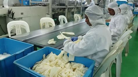 There are many types of industries that can be found in europe. 2 Major Factories In Malaysia Have Been Accused Of Abusing ...