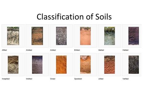 Ppt Classification Of Soils Powerpoint Presentation Free Download