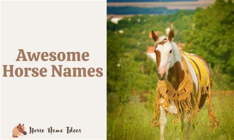 250 Awesome Horse Names With Meanings