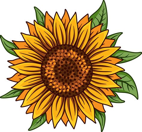 Sunflower Svg And Png Cut File For Cricut 656819 Cut Files Design