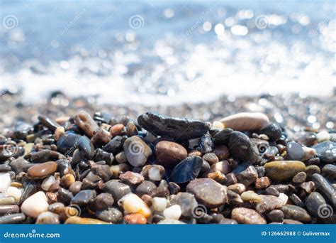 Wet Multicolored Sea Pebbles On Seashore Stock Photo Image Of Colored