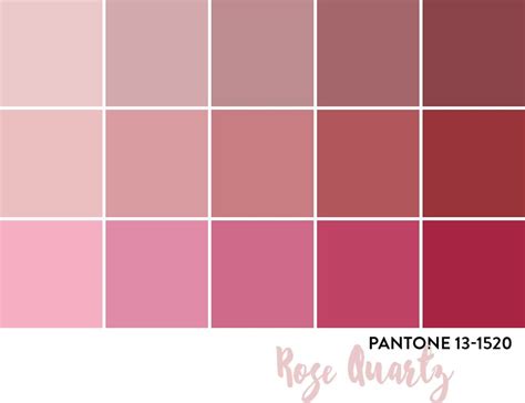The Pantone Palette Is Shown In Shades Of Pink And Red