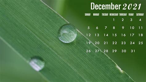 December 2021 Calendar Wallpaper Laptop Desktop Pc Dec Background