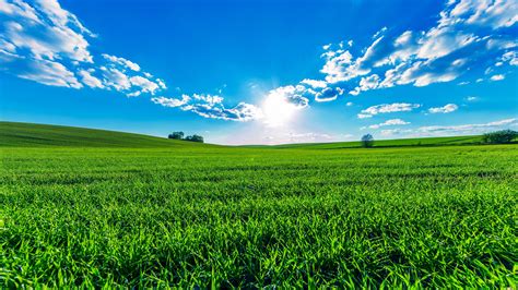 壁紙 緑の畑、青空、雲、太陽、美しい夏 3840x2160 Uhd 4k 無料のデスクトップの背景 画像