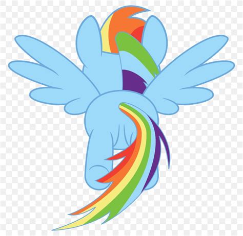 Rainbow Dash Ponyville Png 800x800px Rainbow Dash Animated Cartoon