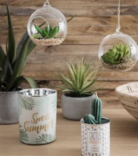 Le cactus de crayon (euphorbia tirucalli) n'est pas un vrai cactus, mais une plante succulente insipide et ensoleillée originaire des régions tropicales de l'inde et de l'afrique. Comment adopter les cactus dans son intérieur ? | Deco ...