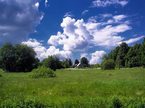 Free Images Landscape Tree Nature Forest Sky Field Farm Lawn
