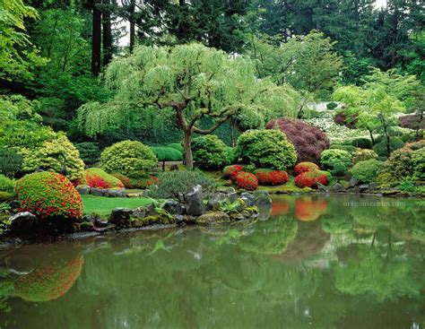 Japanese Garden Japanese Garden Garden Water Feature Pond Landscaping