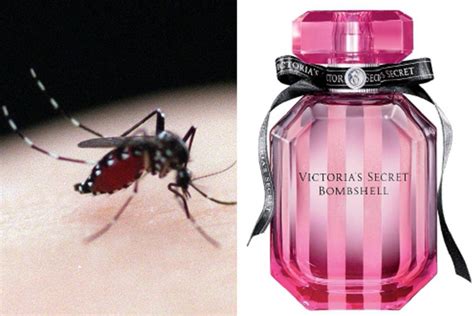 Victorias Secret Perfume Can Repel Mosquitoes Health News Asiaone