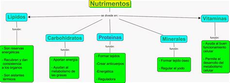 Gipsyeducacion Mapa Conceptual Sobre Los Nutrientes