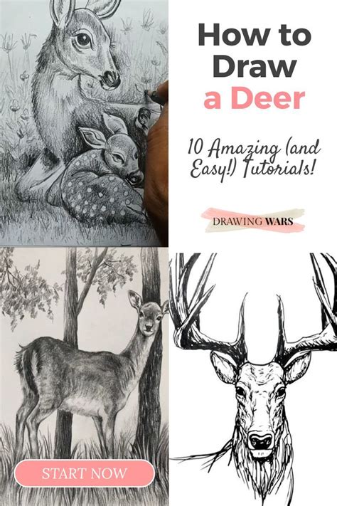 Deer Drawing Easy Easy Animal Drawings Art Drawings Simple Drawing