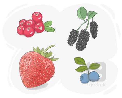 Definition And Meaning Of Berry Langeek