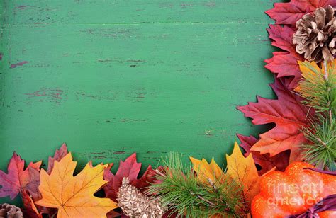 Autumn Fall Rustic Wood Background 4 Photograph By Milleflore Images