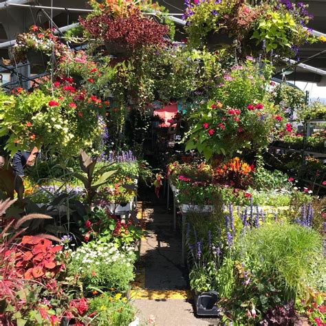 Check spelling or type a new query. cottageking | Plants, Ghibli movies, Studio ghibli movies