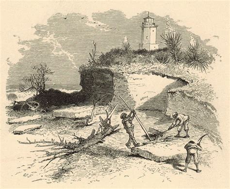Coquina Quarry And St Augustine Lighthouse 1872 Engraving Painting By