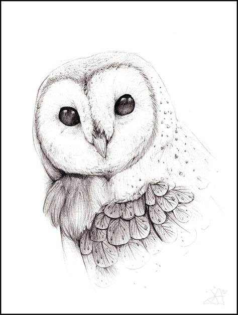 85+ Best Barn Owl Tattoos & Designs With Meanings Details of owl tattoos designs and ideas page 145 owl tattoo design tribal owl tattoos owl tattoo.
