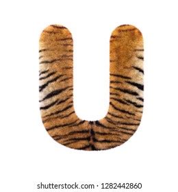 Tiger Letter U Uppercase D Feline Stock Illustration