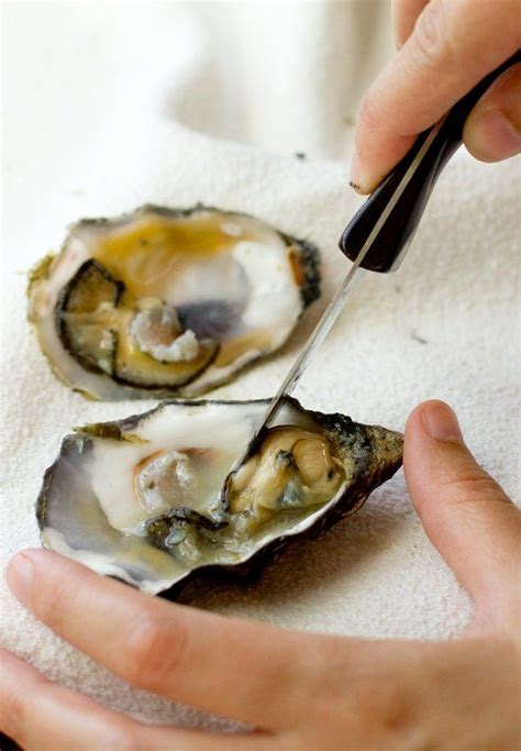 How To Shuck Oysters Shucking Oysters Healthy Snacks To Make Oysters
