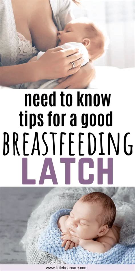 Tips For Breastfeeding Latch The Right Way To Latch Breastfeeding Latch Breastfeeding