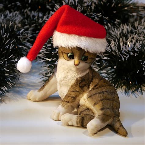 Nikolaus Weihnachten Katze Kostenloses Foto Auf Pixabay Pixabay