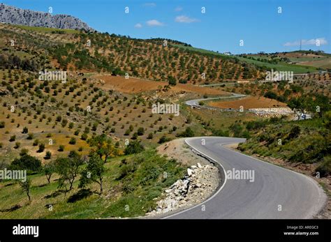 Andalucia And Countryside Hi Res Stock Photography And Images Alamy