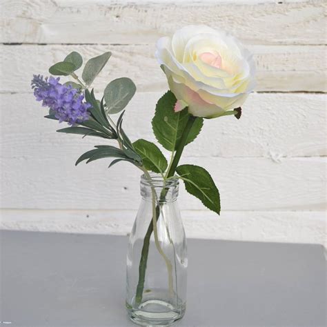Cream Rose In Vase By Abigail Bryans Designs