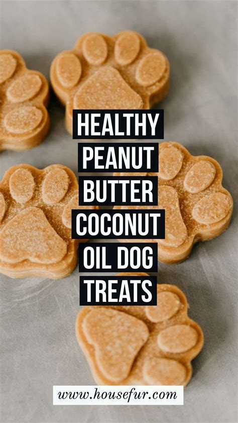 Healthy Homemade Peanut Butter Coconut Oil Dog Treats Recipe Dog