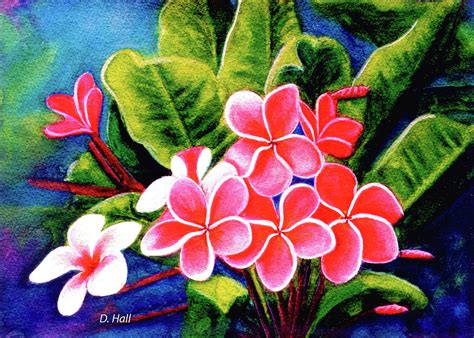 Hawaii Tropical Plumeria Flower 159 Painting By Donald K Hall Fine