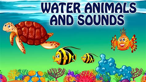 Sea Animals For Kids Learn Water Animals Names And Sounds For Kids