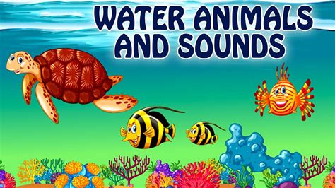 Sea Animals For Kids | Learn Water Animals Names And Sounds For Kids