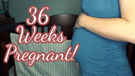 36 week pregnancy update contractions nesting youtube