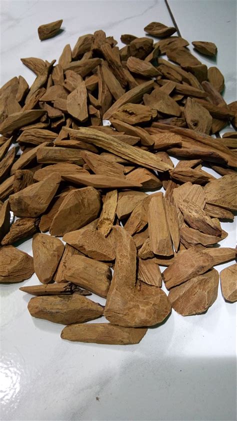 Gaharu adalah kayu berwarna kehitaman dan mengandung resin. Jual Kayu Gaharu Merauke Papua asli wangi di lapak LIA ...
