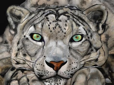Snow Leopard Painting By Marie Clark Fine Art America