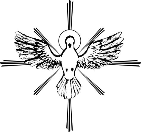 Free Vector Graphic Holy Spirit Peace Dove Sketch