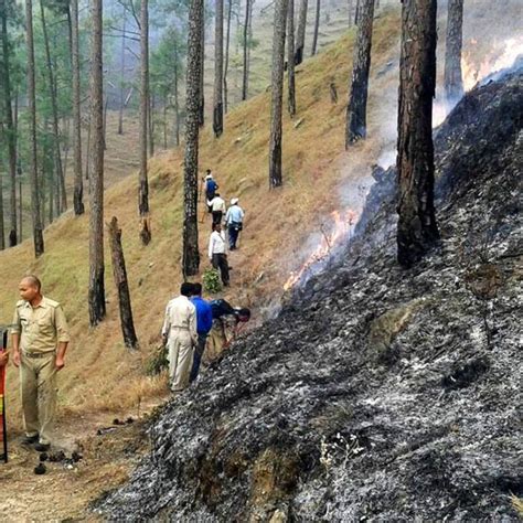 Uttarakhand Forest Fire In Pics