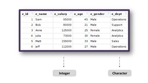 Sql Data Types A Beginners Guide For 2024