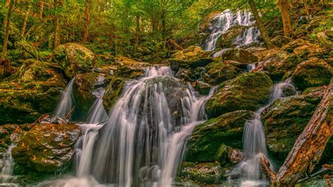Waterfalls In The Forest Hd Nature Wallpapers Hd Wallpapers Id 45139