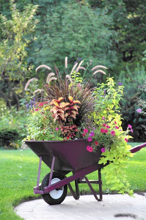 Fix Up Your Fall Container Gardens Garden Wheelbarrow