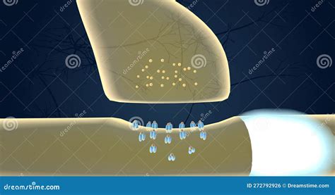 The Neurotransmitter Release In Adhd Stock Illustration Illustration Of Symptom Development