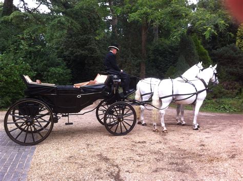 Professional Horse Drawn Carriages Equus Carriages