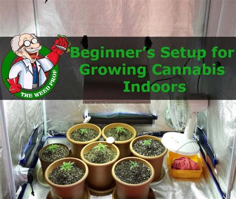 Beginners Setup For Growing Cannabis Indoors The Weed Prof