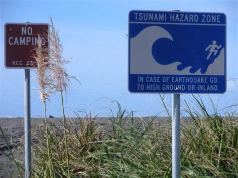 A tsunami warning system (tws) is used to detect tsunamis in advance and issue the warnings to prevent loss of life and damage to property. Tsunami warning signs - All Gone to Look for America