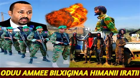 Oduu Ammee Humnii Adaa Oromia Iratii Opdon Tarkanfii Fudhatee Himanii