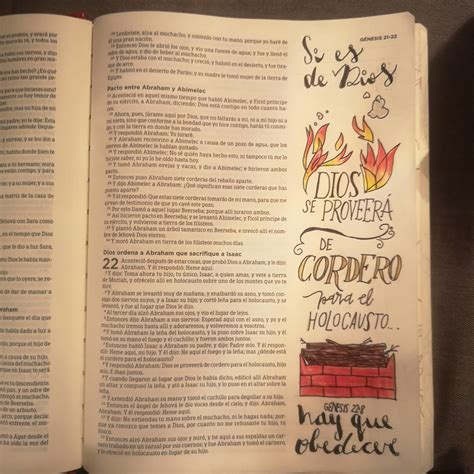 Biblia De Apuntes Edici N Ilustrada Cuotas Sin Inter S