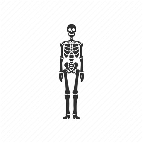 Bones Dead Person Halloween Skeleton Icon